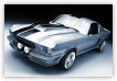 Shelby2.jpg